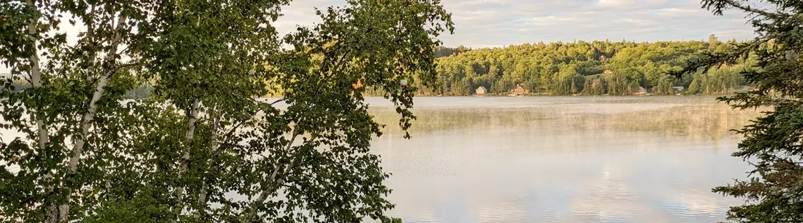 A quiet lake in northern New Hampshire seen through birch and pine branches, with a wooded far shore, low mist over the water, and clouds reflected in the still surface.